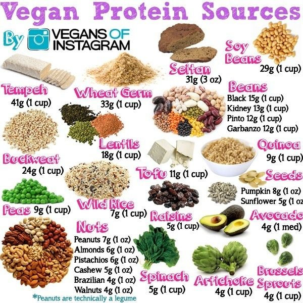 Best Vegetarian Protein Sources
 Protein Sources in a Vegan t
