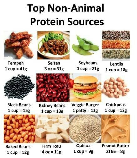 Best Vegetarian Protein Sources
 The Best Protein Powder