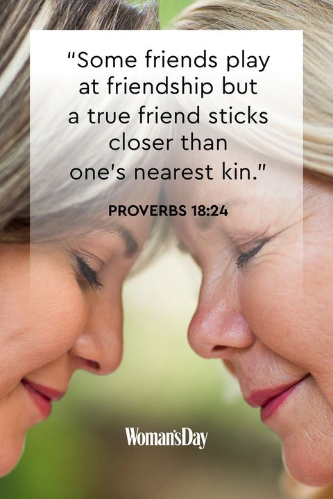 Bible Quotes About Friendship
 14 Bible Verses About Friendship Spiritual Quotes About