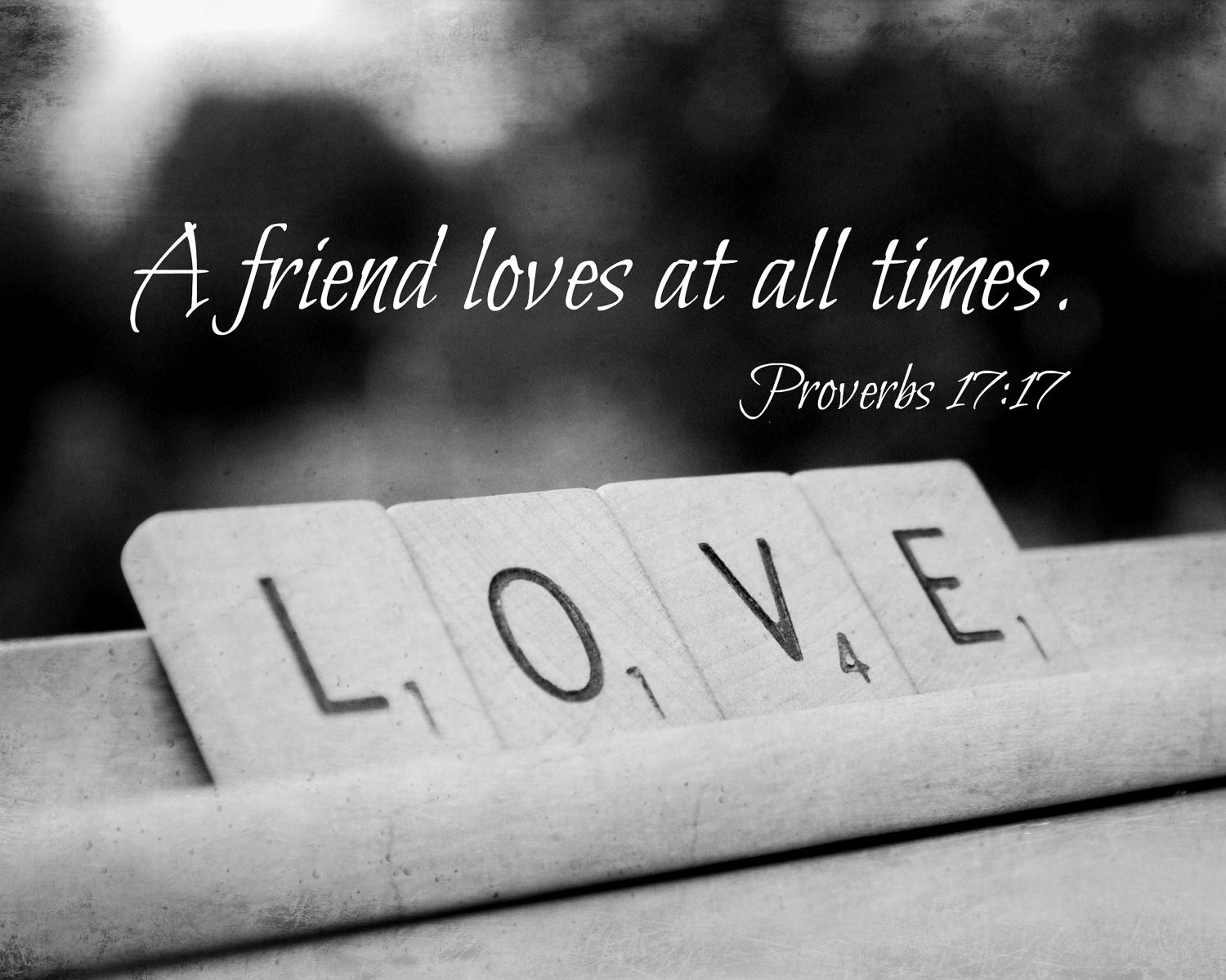 Bible Quotes About Friendship
 Bible Quotes About True Friendship QuotesGram