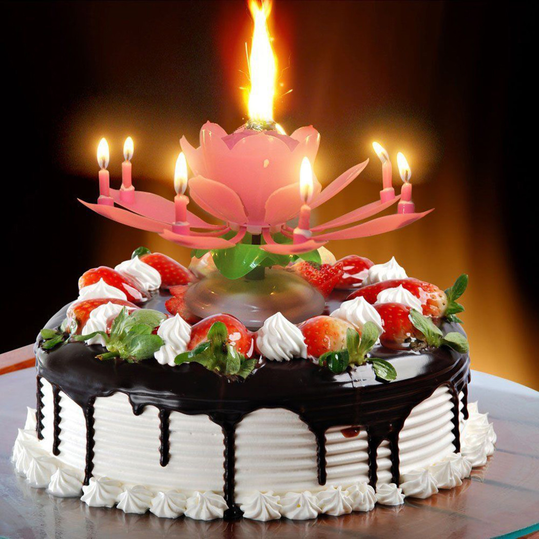 Birthday Cake Candle
 Birthday Candle Lotus Flower Blossom Musical Party Cake