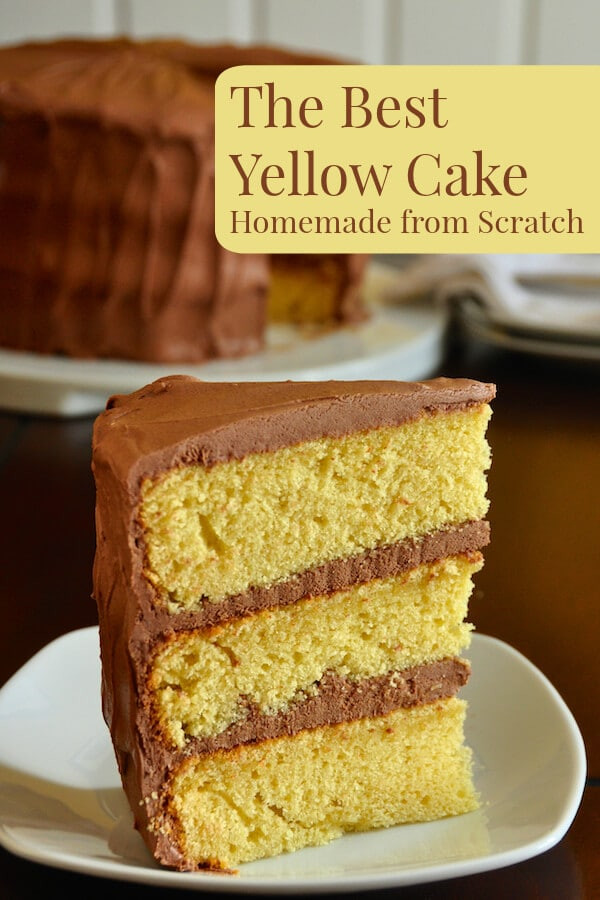 Birthday Cake Recipes From Scratch
 The Best Yellow Cake Recipe Homemade from Scratch Rock