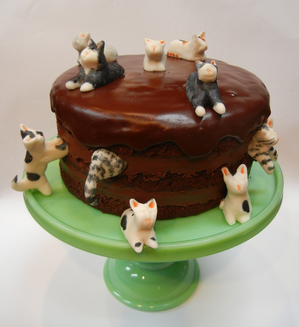 Birthday Cakes For Cats
 Ronna s Blog Happy birthday Richard x 2
