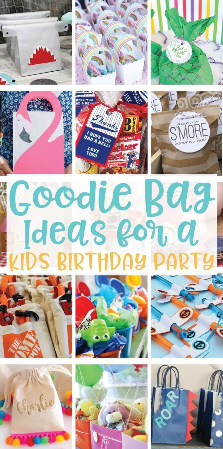 Birthday Gift Bags For Kids
 20 Goo Bag Ideas for Kids Birthday Parties