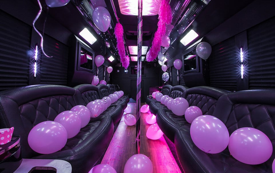 Birthday Party Bus
 Limo & Party Bus Service 1 Hr Free Party Bus Service LI