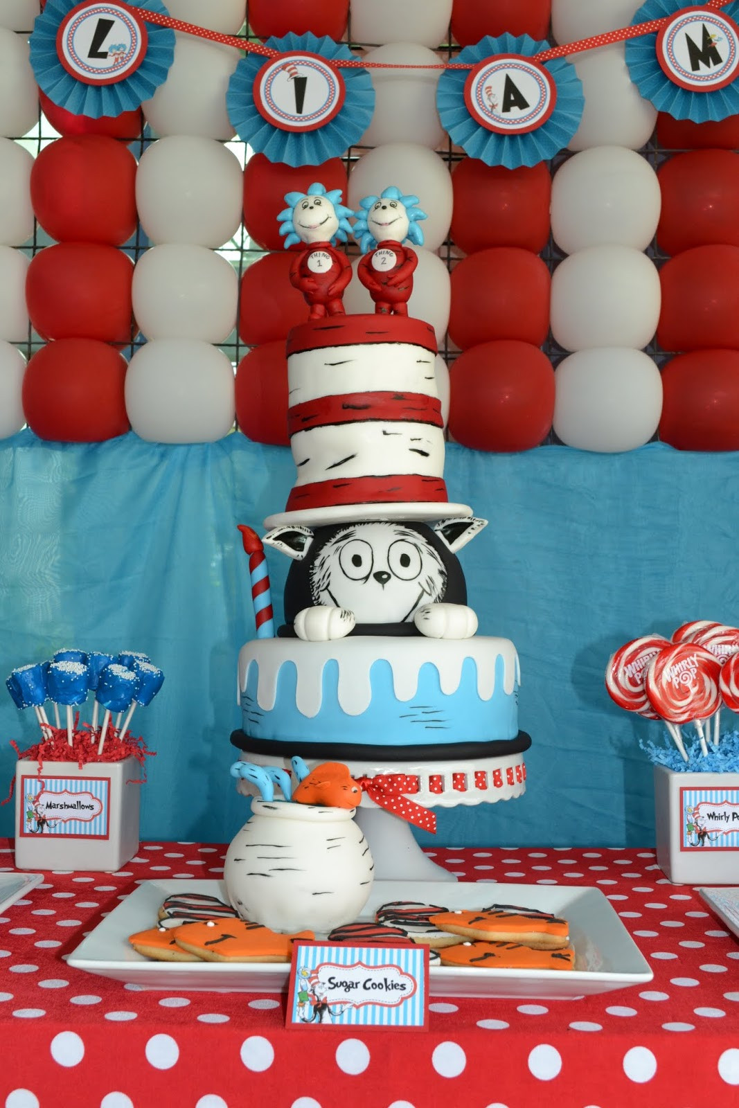 Birthday Party Ideas Three Year Old Boy
 Partylicious Events PR The Cat in the Hat 1st Birthday