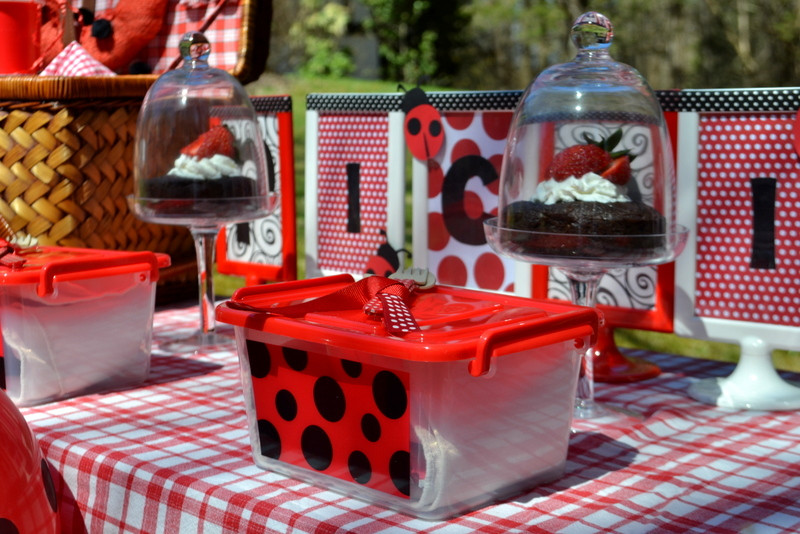 Birthday Party Supplies Near Me
 PARTY ON A BUDGET Spotty Dotty Ladybug Picnic Party