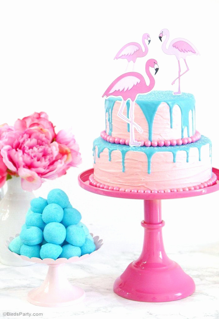 Birthday Party Supplies Near Me
 540 best GIRLS Birthday Party Ideas images on Pinterest