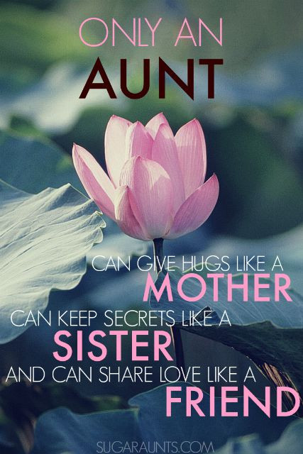 Birthday Quotes For Aunt
 Love U Quotes For Aunts QuotesGram