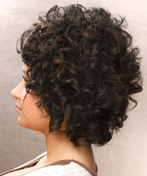 Black Hairstyles Short Hair
 Short Curly Casual Braided Hairstyle Black Hair Color