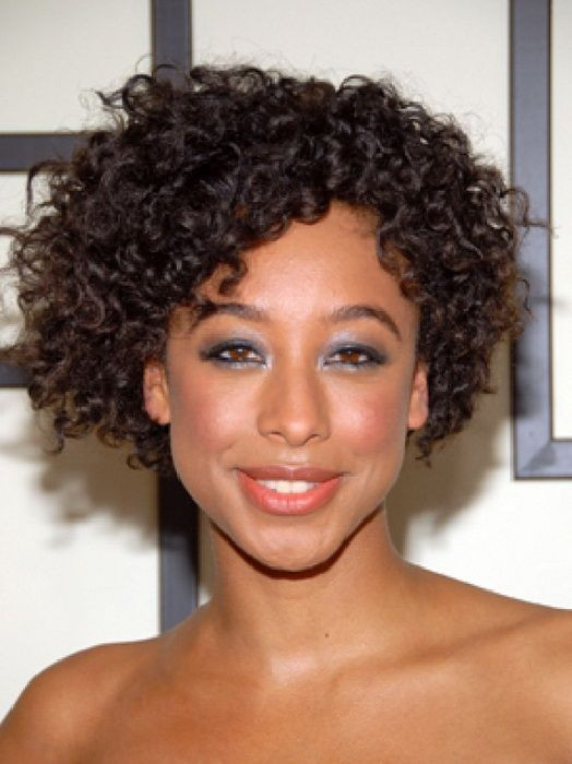 Black Natural Curly Hairstyles For Medium Length Hair
 Short Natural Curly Hairstyles for Black Women Hair 2013