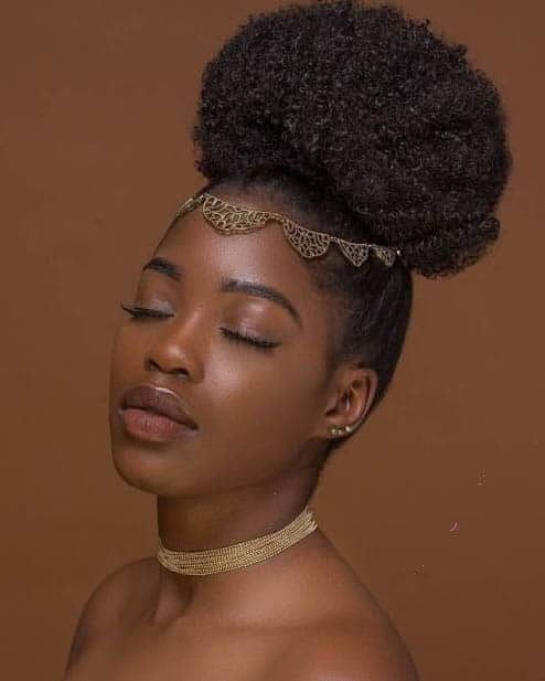 Black Women Natural Hairstyles
 37 Gorgeous Natural Hairstyles For Black Women Quick