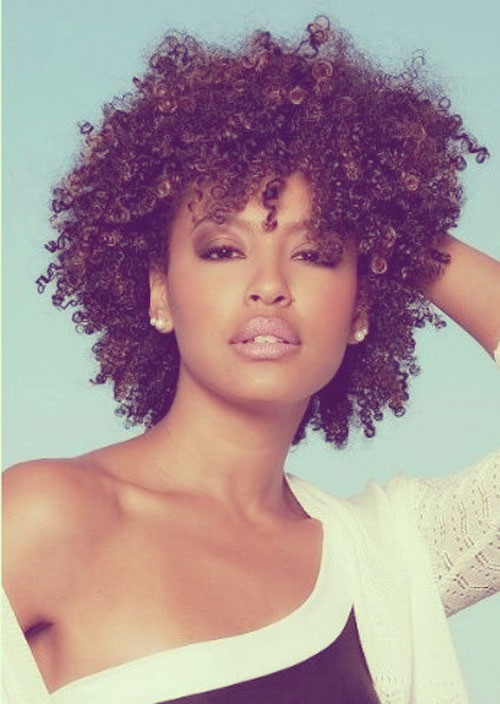 Black Women Natural Hairstyles
 African American Hairstyles Trends and Ideas Hairstyles