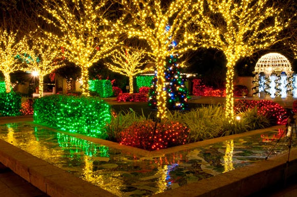 Botanical Garden Christmas Lights
 Gardens of Holiday Lights