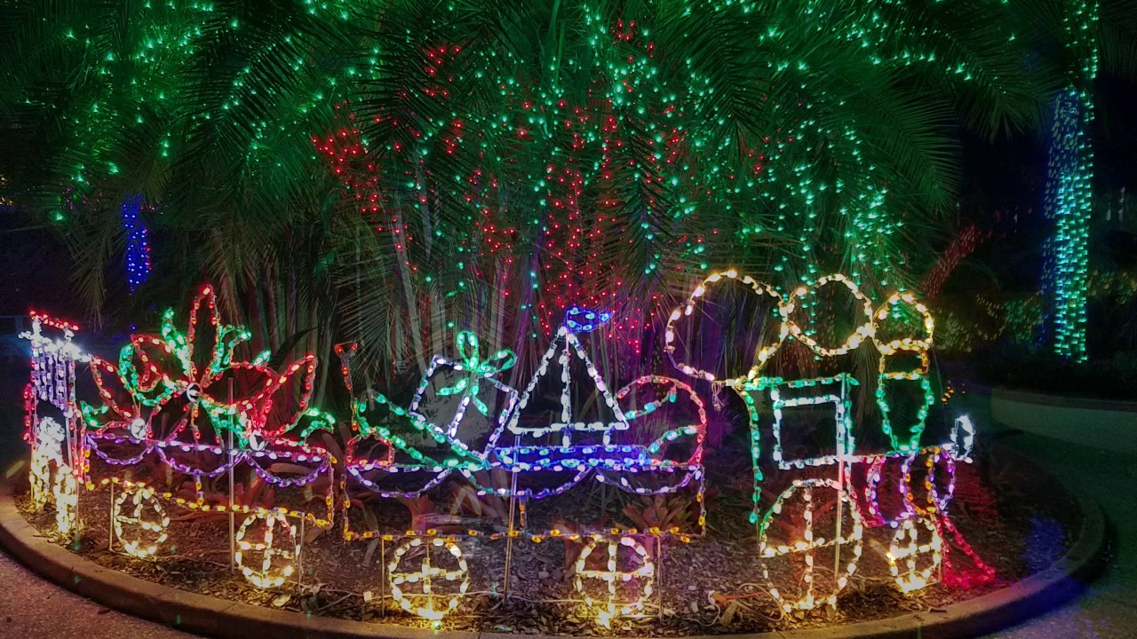 Botanical Garden Christmas Lights
 Florida Botanical Gardens Holiday Lights Display 2016