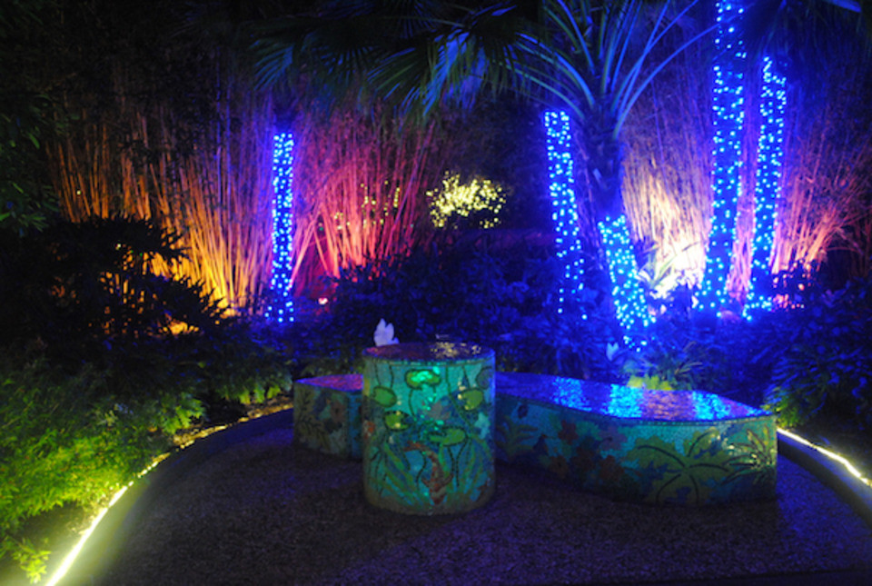 Botanical Garden Christmas Lights
 Florida Botanical Gardens holiday lights return to Largo