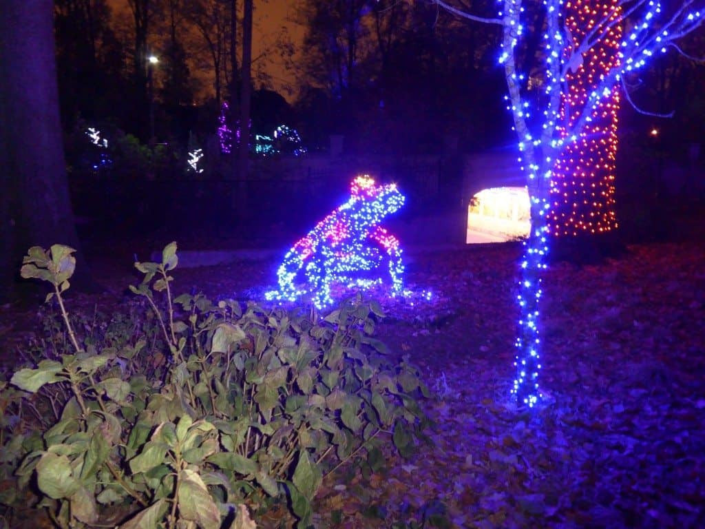 Botanical Garden Christmas Lights
 Atlanta Botanical Garden Holiday Lights Mommy Travels