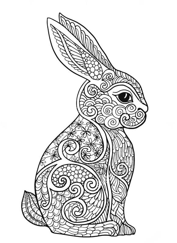 Bunny Coloring Pages For Adults
 Bunny Coloring Pages For Adults at GetColorings