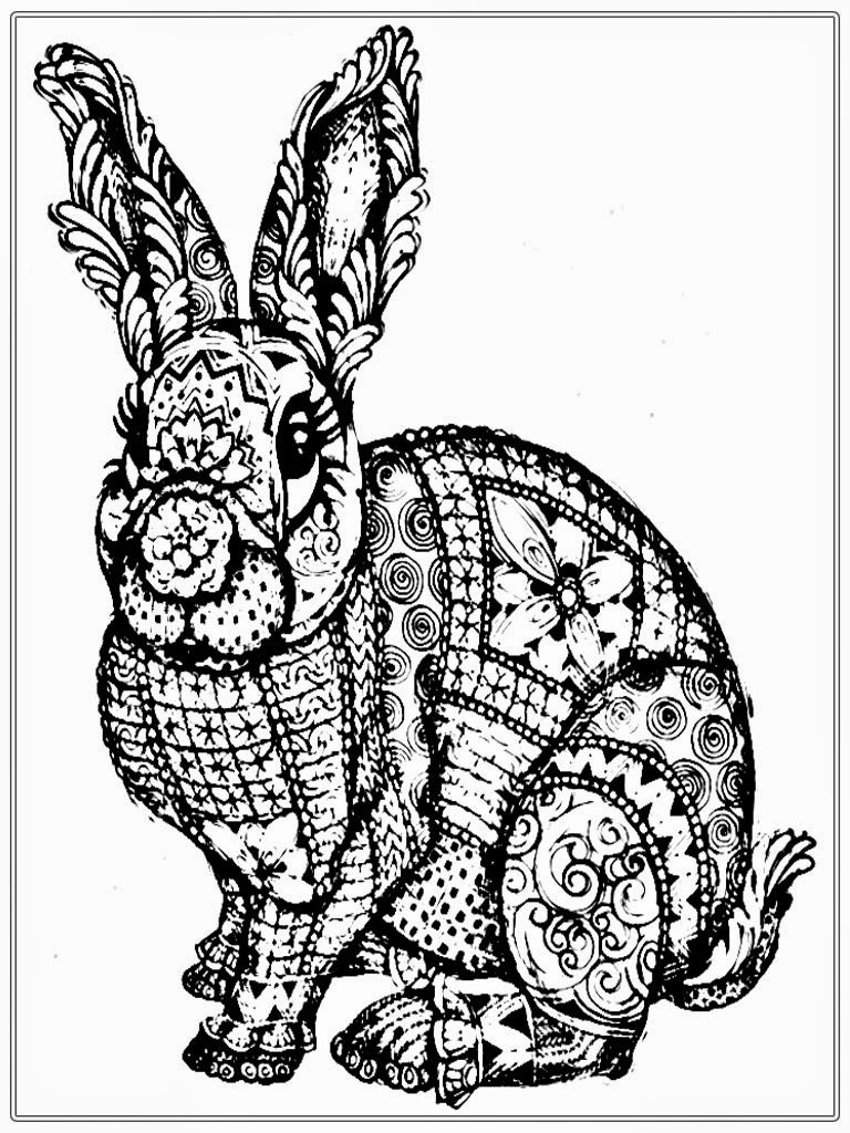 Bunny Coloring Pages For Adults
 Realistic Bunny Drawing at GetDrawings