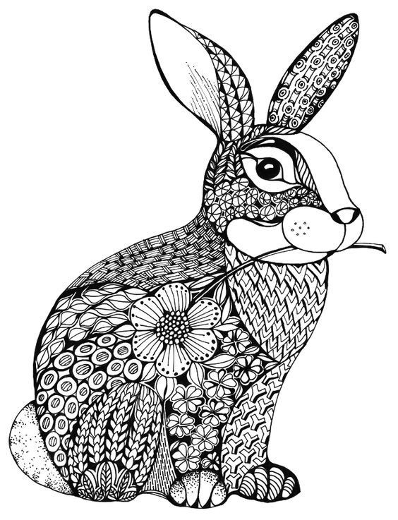 Bunny Coloring Pages For Adults
 242 best coloring rabbit images on Pinterest