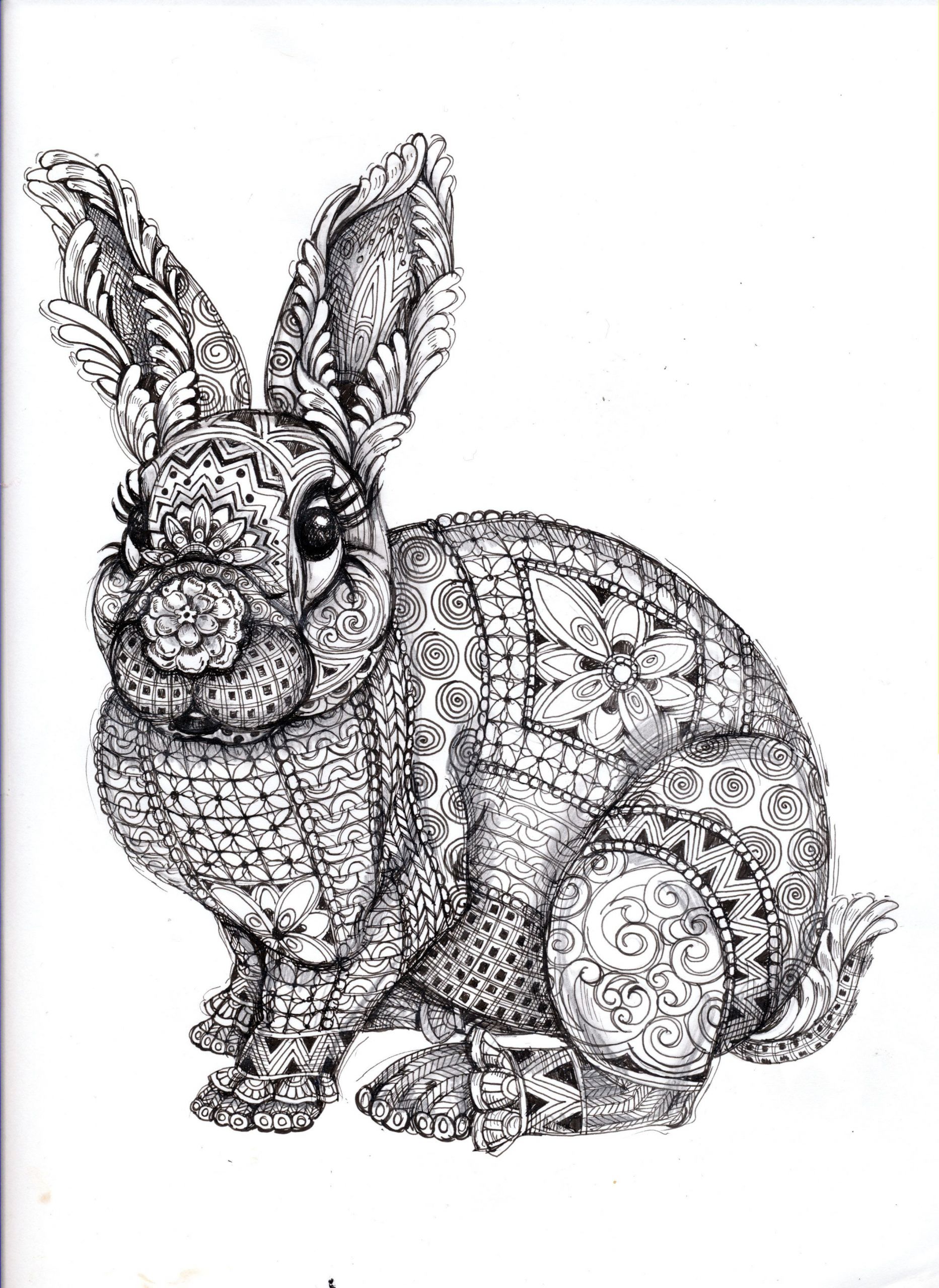 Bunny Coloring Pages For Adults
 Pin by Jaclyn LeRoy on Coloring Pages