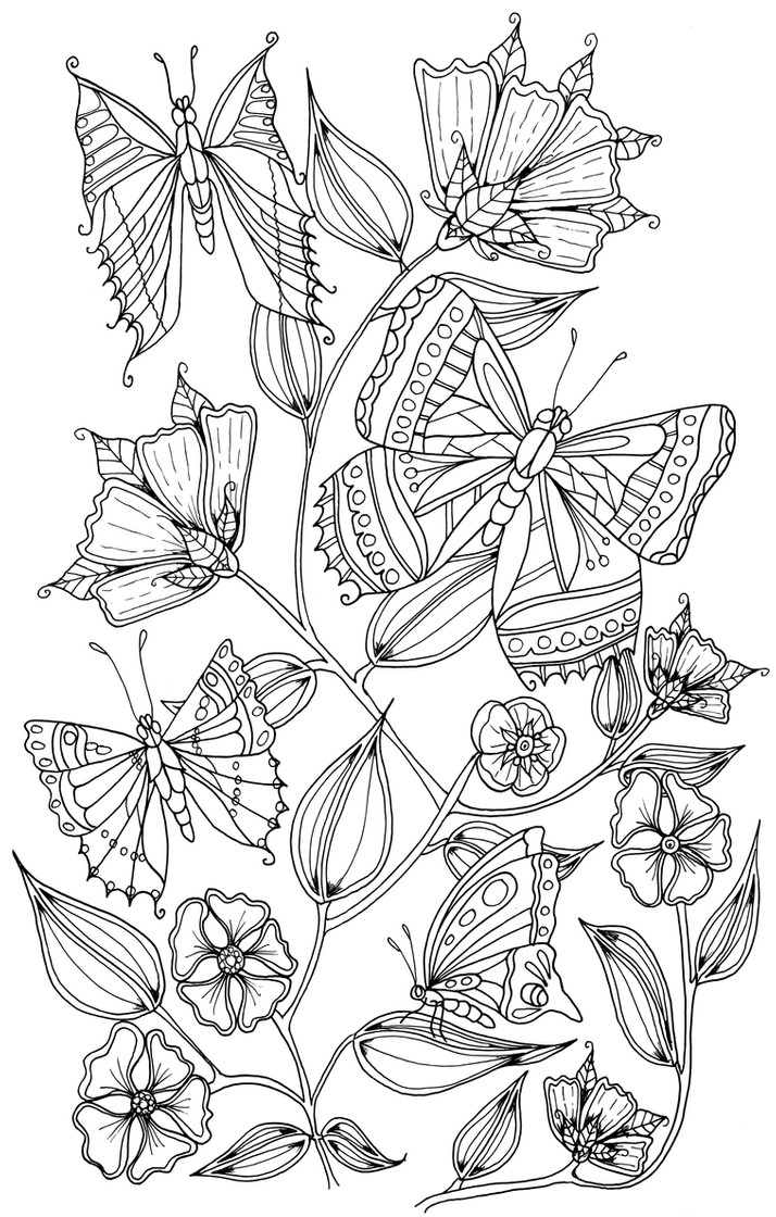Butterfly Adult Coloring Pages
 Butterflies by WelshPixie on DeviantArt