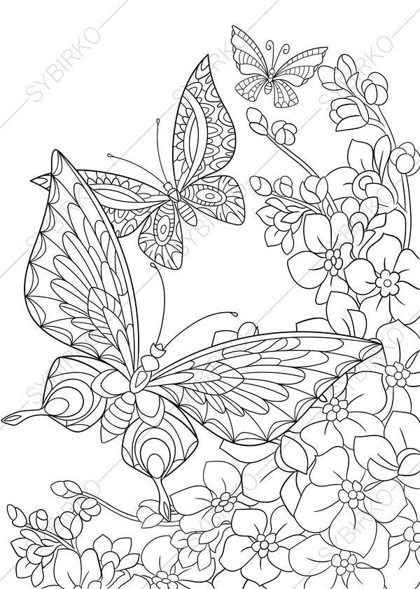 Butterfly Adult Coloring Pages
 Butterfly and Spring Flowers 3 Coloring Pages Animal