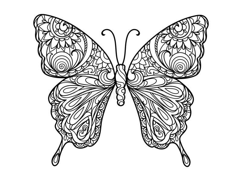 Butterfly Adult Coloring Pages
 Butterfly Coloring Book For Adults Vector Stock Vector