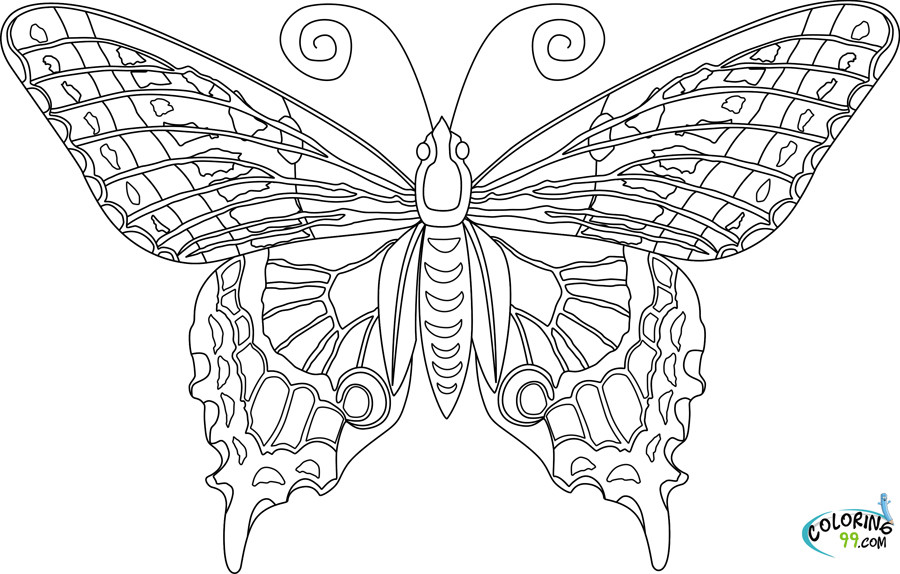 Butterfly Adult Coloring Pages
 Butterfly Coloring Pages