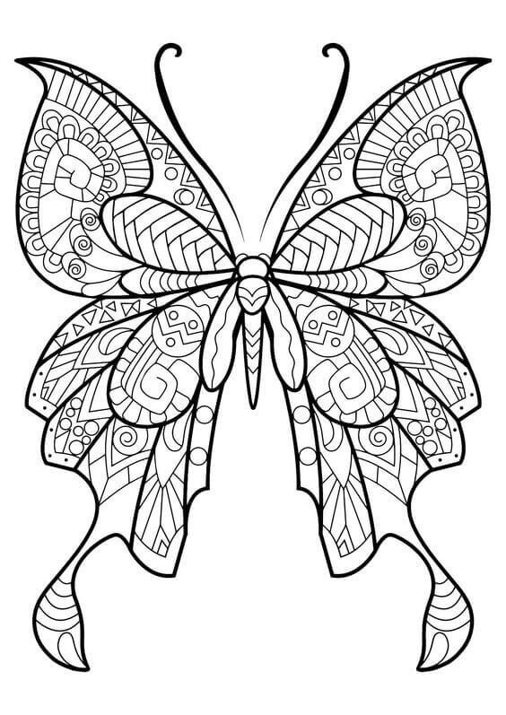 Butterfly Adult Coloring Pages
 40 Free Printable Butterfly Coloring Pages