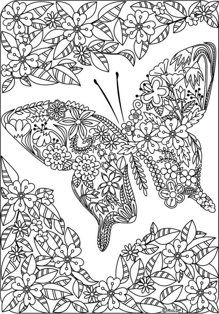 Butterfly Adult Coloring Pages
 75 best images about butterfly coloring pages on Pinterest