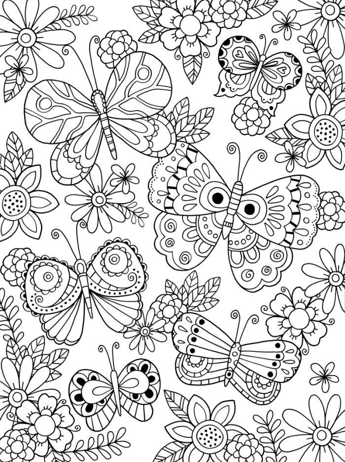 Butterfly Adult Coloring Pages
 Butterfly Coloring Pages for Adults Best Coloring Pages