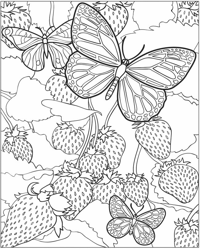 Butterfly Adult Coloring Pages
 EXPOSE HOMELESSNESS April 2011