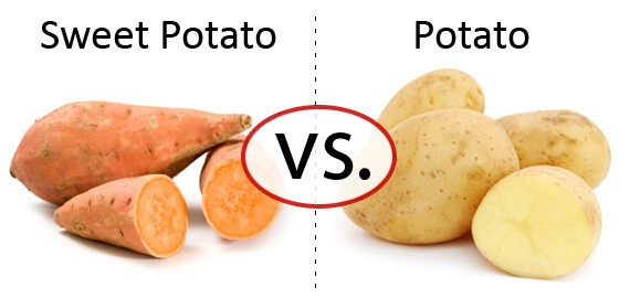 Calories In Large Sweet Potato
 Sweet Potato Vs Regular Healthiest Potato