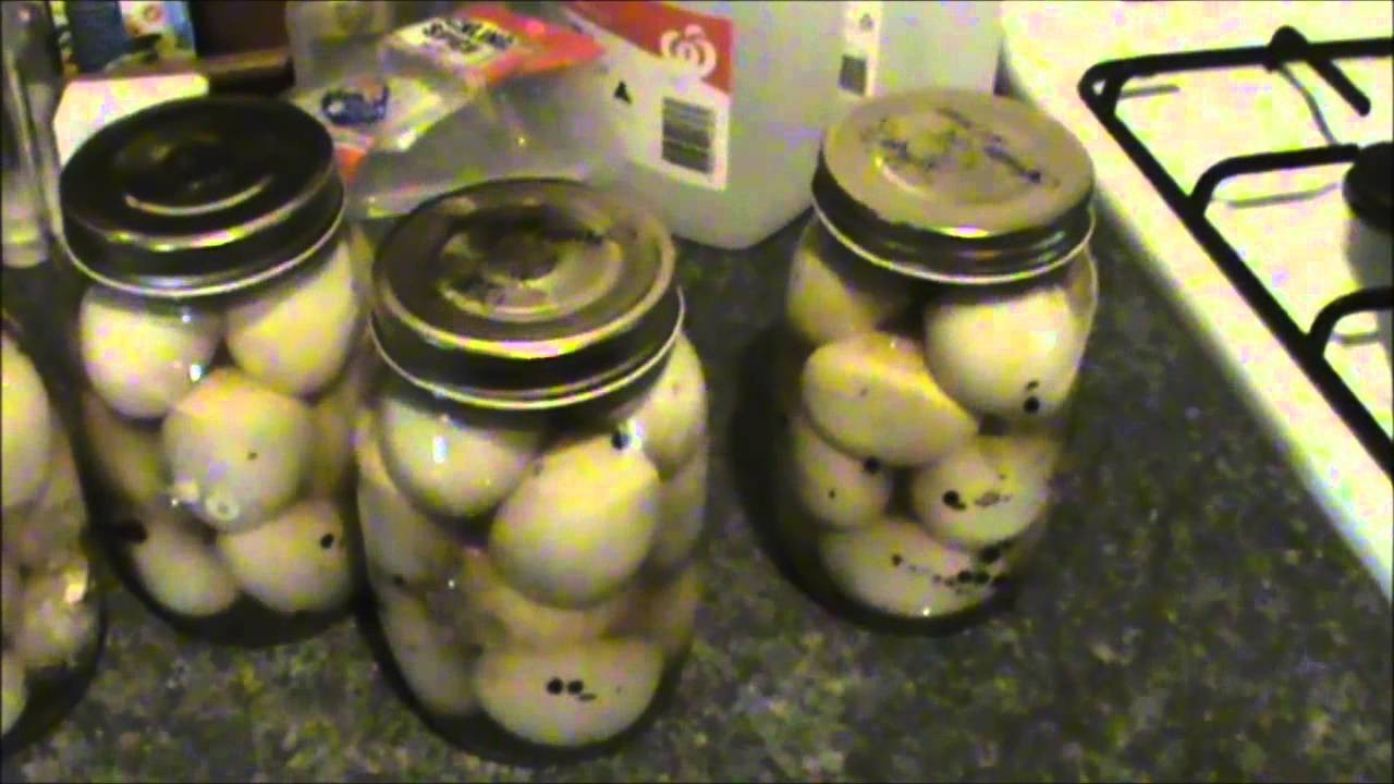 Canning Pickled Eggs
 Pickled eggs home preserving