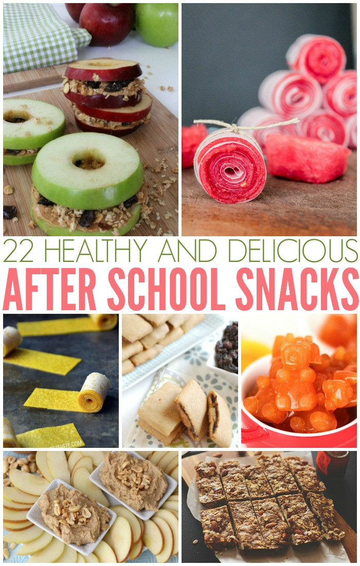 Cheap Healthy Snacks For Kids
 22 Health & Delicious After School Snacks Kids Will Love