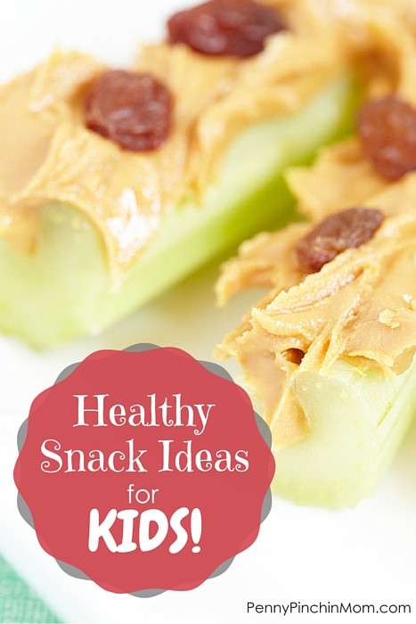 Cheap Healthy Snacks For Kids
 Healthy Snack Ideas for Kids