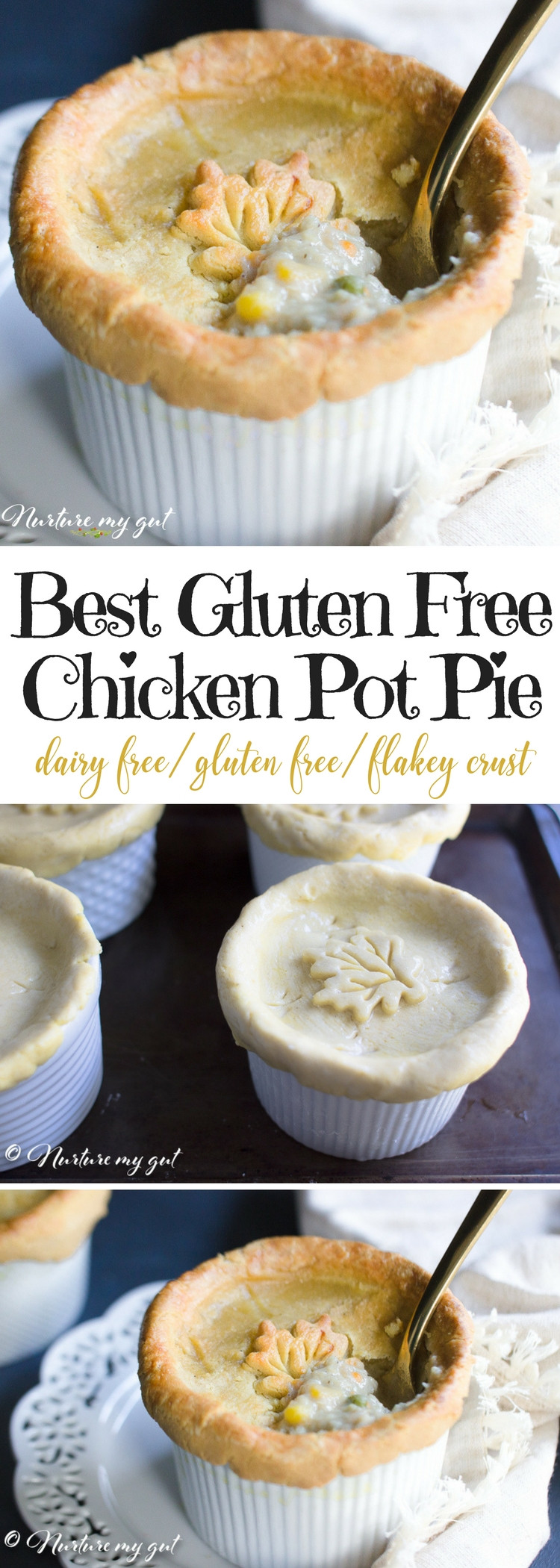 Chicken Pot Pie Dairy Free
 Best Gluten Free Chicken Pot Pie Recipe Dairy Free