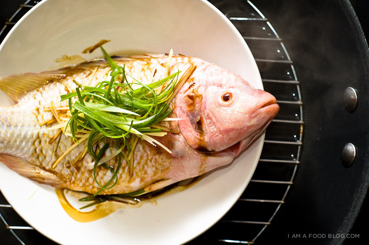 Chinese Steamed Fish Recipes
 Chinese Steamed Fish Recipe · i am a food blog i am a food