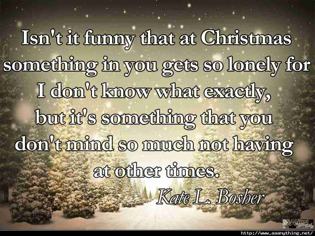 Christmas Alone Quotes
 Quotes About Being Alone Christmas QuotesGram
