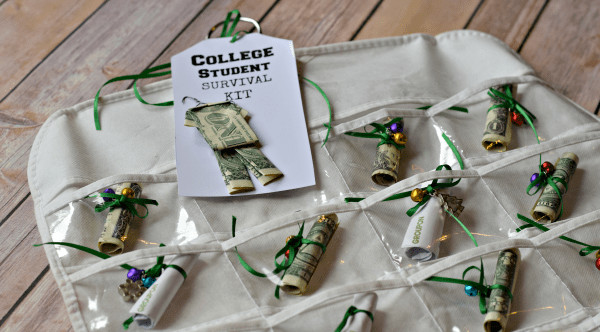 Christmas Gift Ideas For High School Seniors
 College Student Survival Kit Perfect for Graduating Seniors