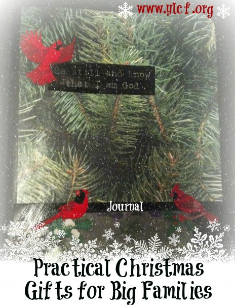 Christmas Gift Ideas For Large Families
 Practical Christmas Gifts for Big Families Kindred Grace