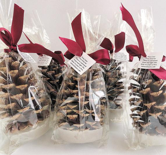 Christmas Party Theme Ideas For Company
 25 Pine Cone Fire Starter Christmas Party Favors Holiday