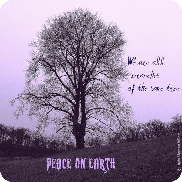 Christmas Peace Quotes
 Christmas Peace Earth Quotes QuotesGram