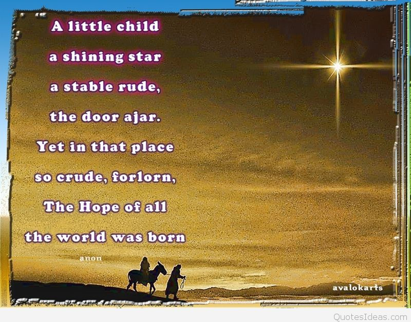 Christmas Star Quotes
 Christmas quotes