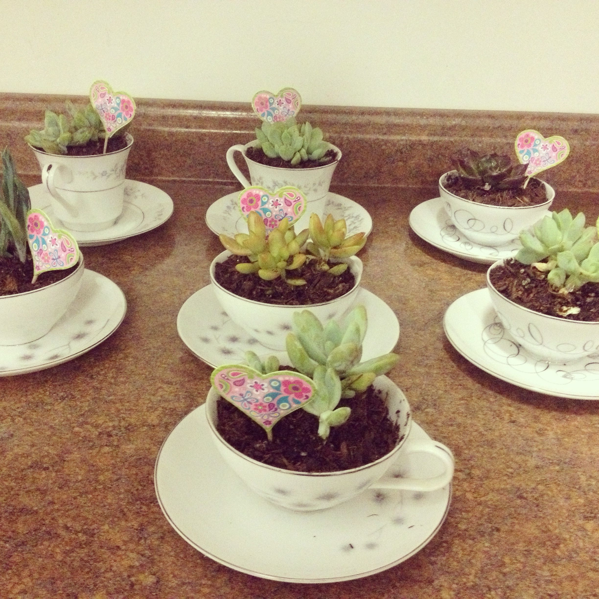 Church Mother'S Day Gift Ideas
 Succulents are survivors as real la s are survivors