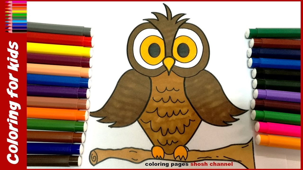 Coloring Ideas For Kids
 owl coloring pages for kids from coloring pages shosh