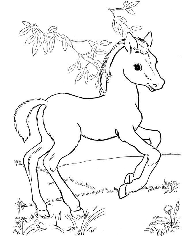 Coloring Page For Kids
 Horse coloring pages for kids