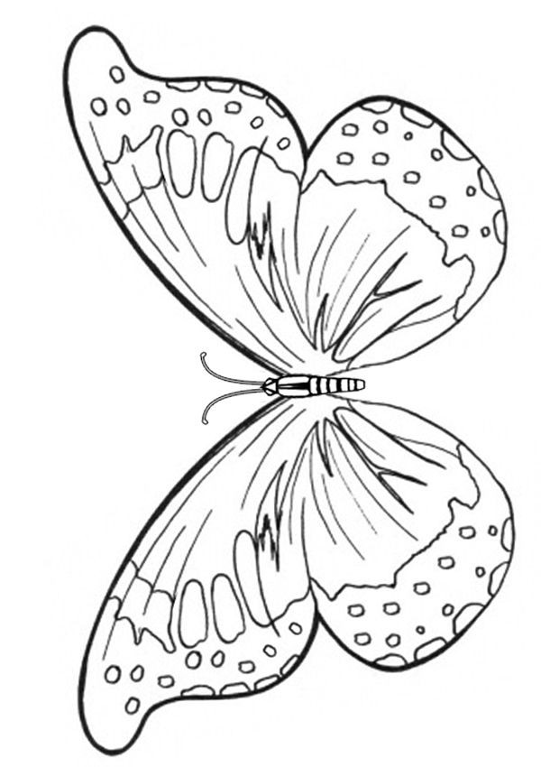 Coloring Pages For Kids Butterflies
 Free line Printable Kids Colouring Pages Butterfly