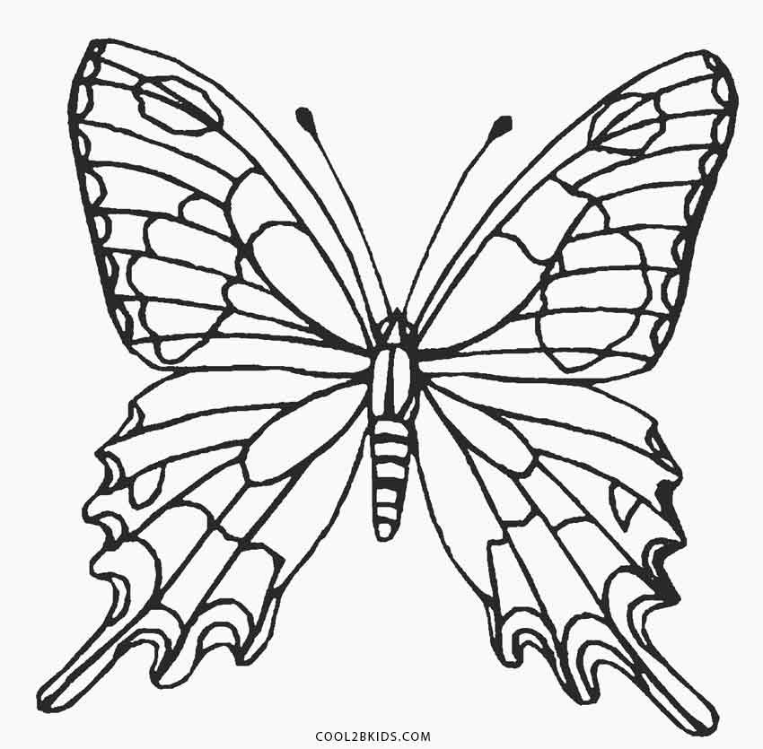 Coloring Pages For Kids Butterflies
 Colorful Butterfly Drawing at GetDrawings